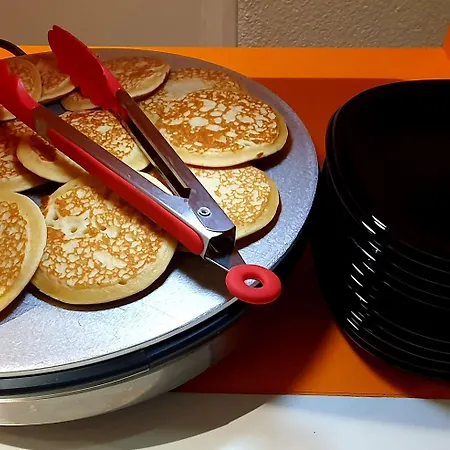 普瑞米尔波尔多南维勒纳夫道尔侬经典酒店 酒店 *